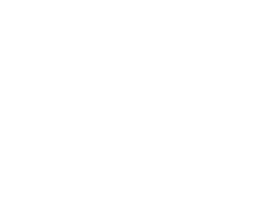 exmer-logo
