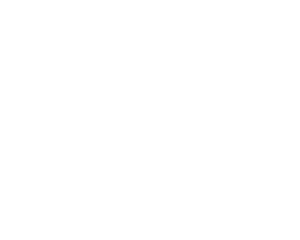 falmec-logo