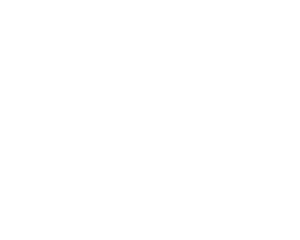 logo-lithotech